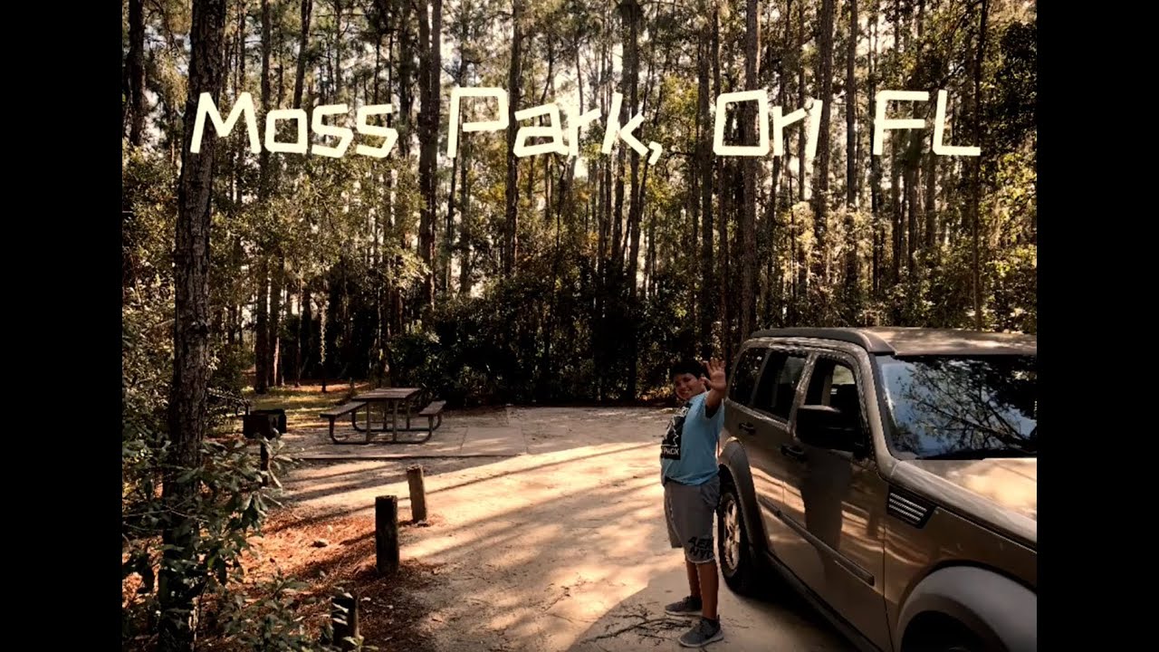 Father & Son Camping 🏕 