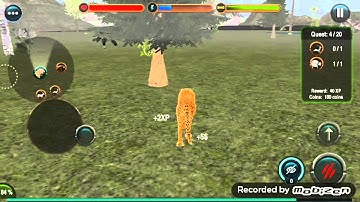 Angry Cheetah Simulator 3D Cheetah Vs Black Cat Android Games Play