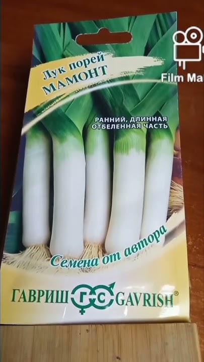 лук порей мамонт 🧅🧅🧅 #лукпорей - YouTube
