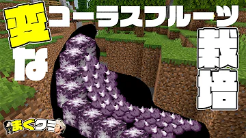 تحميل コーラスフルーツ 栽培