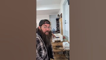 Ayam Cemani are Hatching! #chicken #hatching #ayamcemani