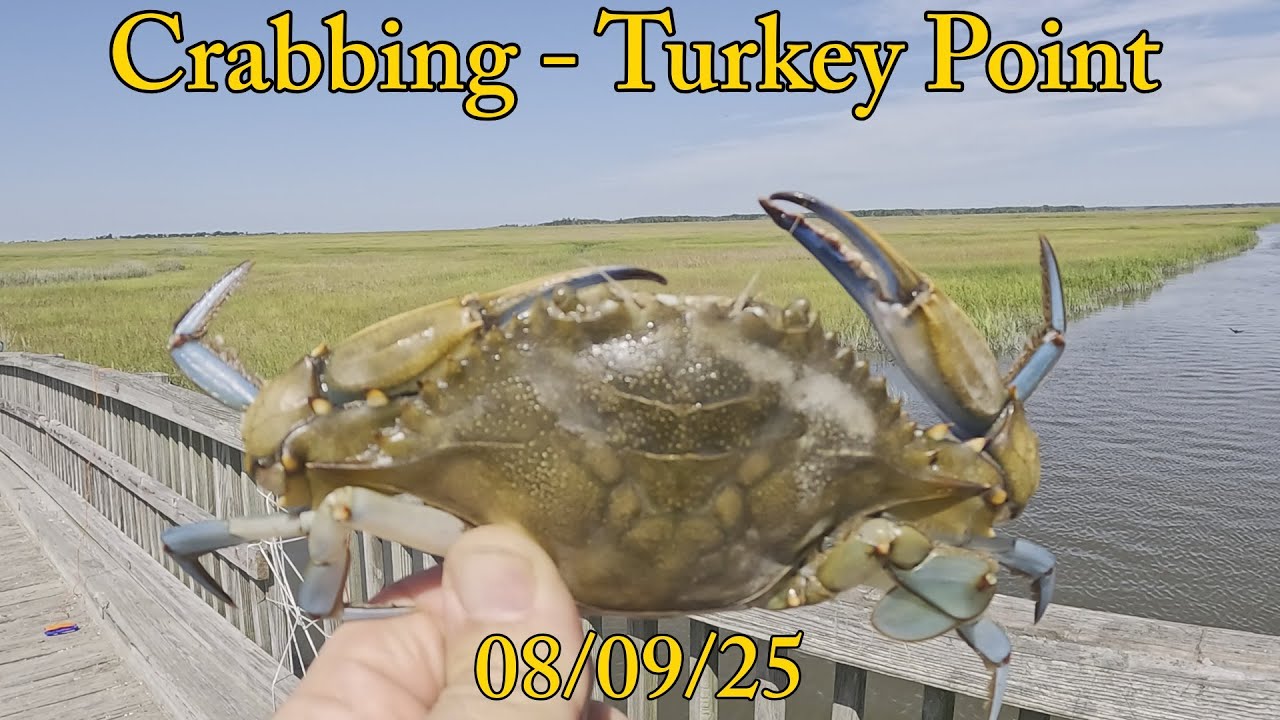 Turkey Point New Jersey Crabbing – Slow Day Turns Into a Surprise Haul!