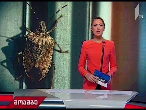 ფაროსანასთან ბრძოლა - სოფლის მეურნეობის მინისტრი მსოფლიოს წამყვან მეცნიერებს შეხვდა