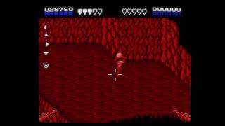 Battletoads (NES - 1991)