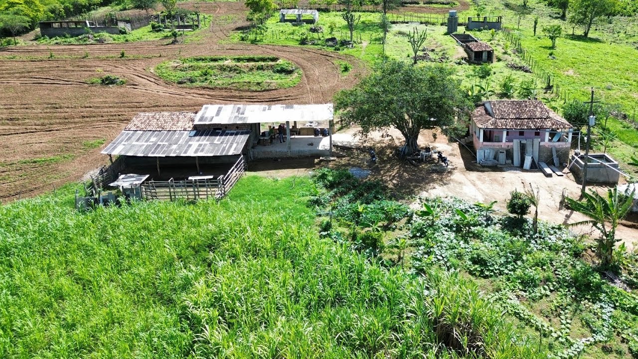 Lindo sitio a venda na zona rural de são Caetano PE 13.5 HECTARES ESCRITURA
