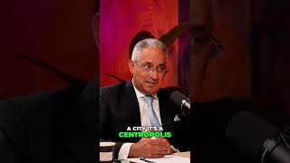 Dubai South The Future Mega City Of Luxury & Opportunity Real Estate Investment 2024