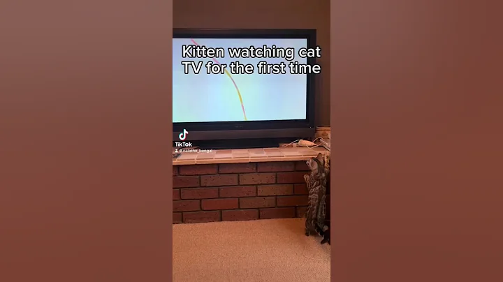 Watch the video about Do you think she liked it? 😂🐱 #bengal #silverbengal #cattv #funnycat #kitten