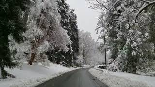 Biltmore Estate Approach Rd in winter