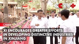 Xi Jinping Encourages Greater Efforts in Developing Distinctive Industries in Xinjiang