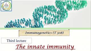 Third lecture: The innate immunity / Immunogenetics