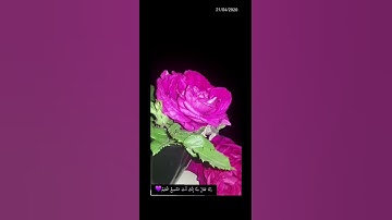 #قرآن كريم♡.. ( سورة هود 52 ).