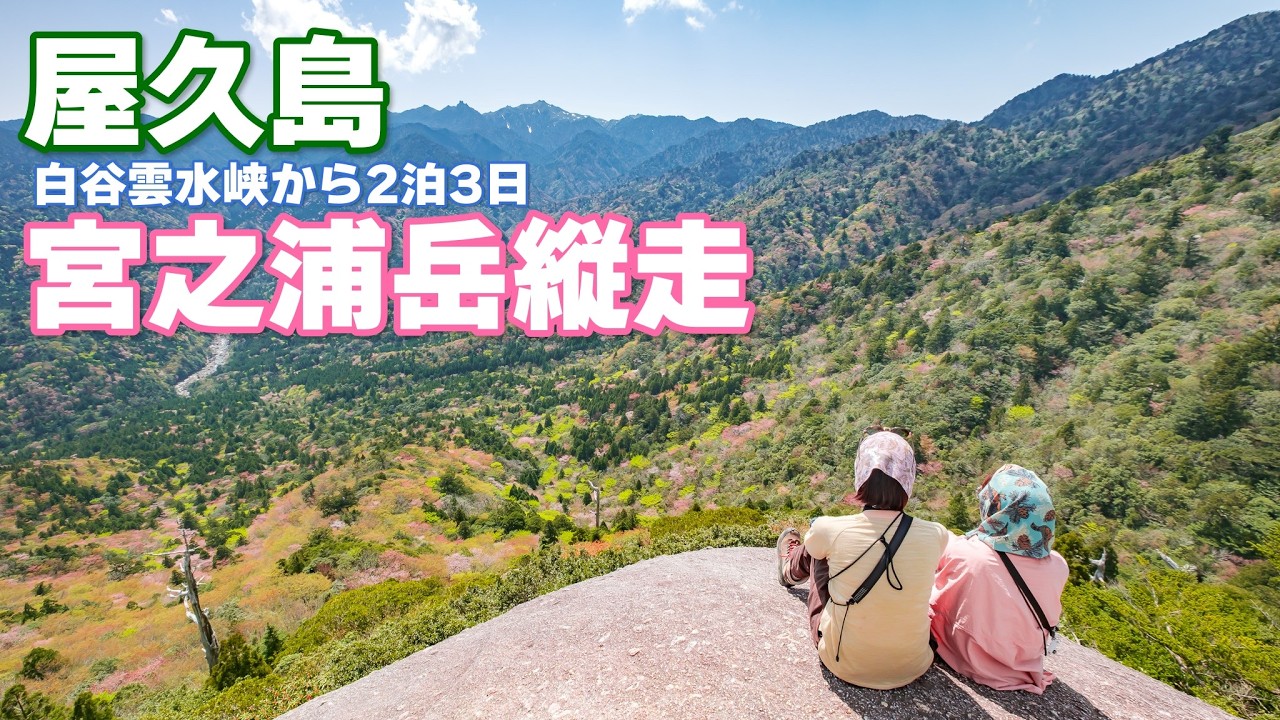 【屋久島】白谷雲水峡から2泊3日の宮之浦岳縦走