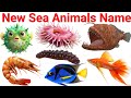 10 और मजेदार पानी के जानवर | Aquatic Animals Part 3 | Kids Learning in Hindi.