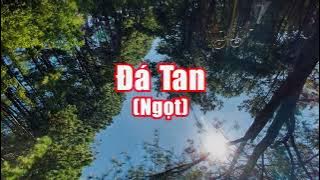 Ngot - Da Tan Karaoke Beat Goc