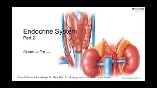ANAT1010_22_Endocrine ststem 2 + Anki flachcards