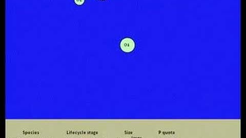 Agent-Based Cyanobacteria Model