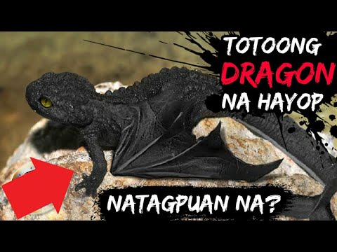 Video: Ang mga dragon ay pula: paglalarawan, mga alamat