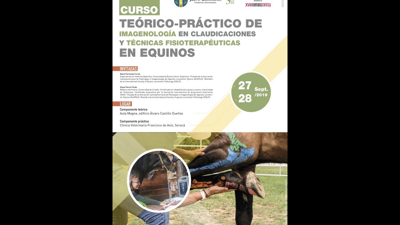 Descargar Libro Adams Claudicaciones En Equinos www.youtube.com