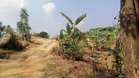 mus saib​ pov qaib dib thiab tsham mib nkawv​ tsev​