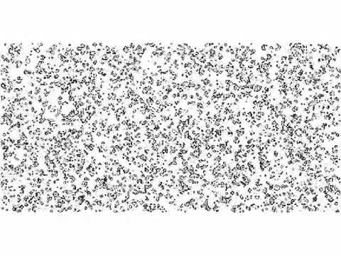 Conway's Game of Life