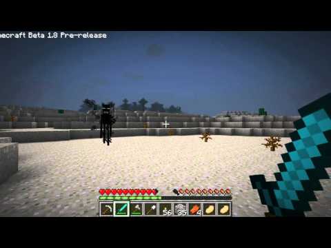 MineCraft 1.8 - Enderman & NPC Villages