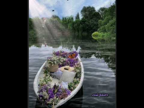 لا تبحثوا عن الحب طارق حامد