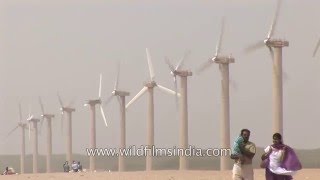 Wind turbines in Gujarat - India