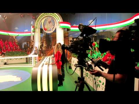Magyarország, szeretlek! Kállay-Saunders