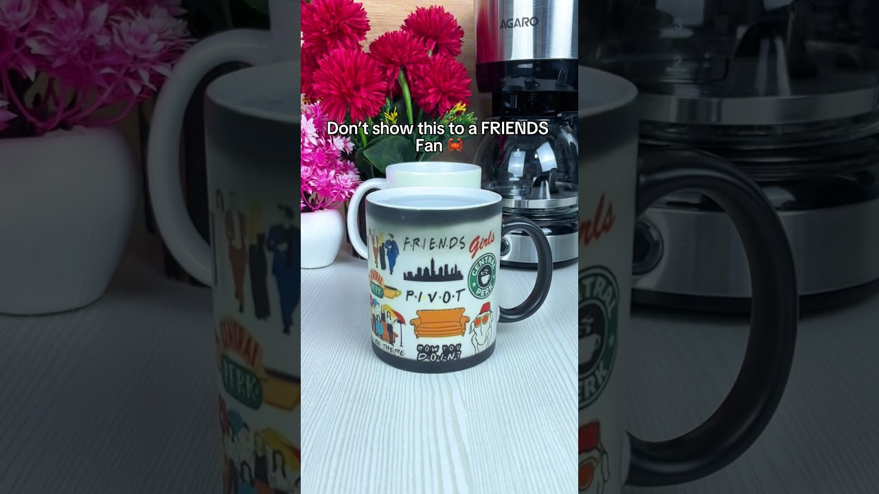 Don’t let friends fans see this mug 