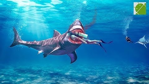 Shark 3D Hunting Games 2018 - Android Gameplay FHD