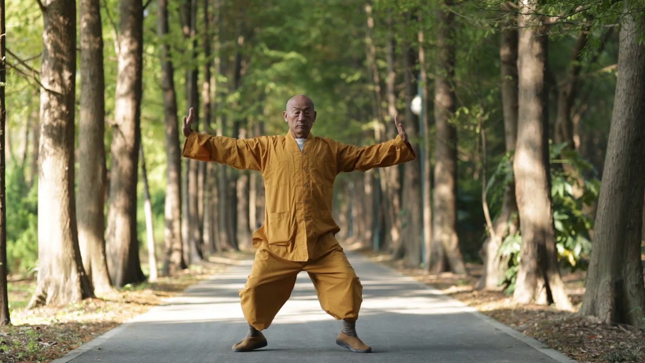 Shaolinsi Yijinjing (Shi Yan Hui shifu) correct))