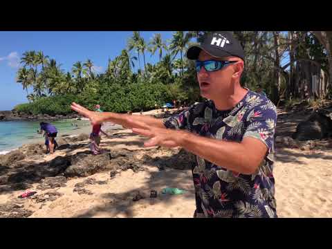 Videó: Hawaii tetszés szerinti állam?