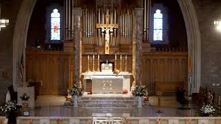 8:00 AM Celebration of the Holy Mass July 20, 2026