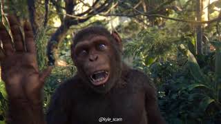 monkeys dance to minecraft