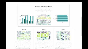 Cluster Insight: A Weighted Clustering Tool for Large Textual DataExploration - WSDM 2025