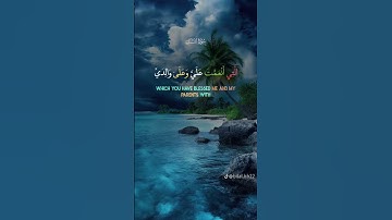 تلاوة القرآن الكريم بصوت جميل سورة النمل #قرآن #قران_كريم #المصحف