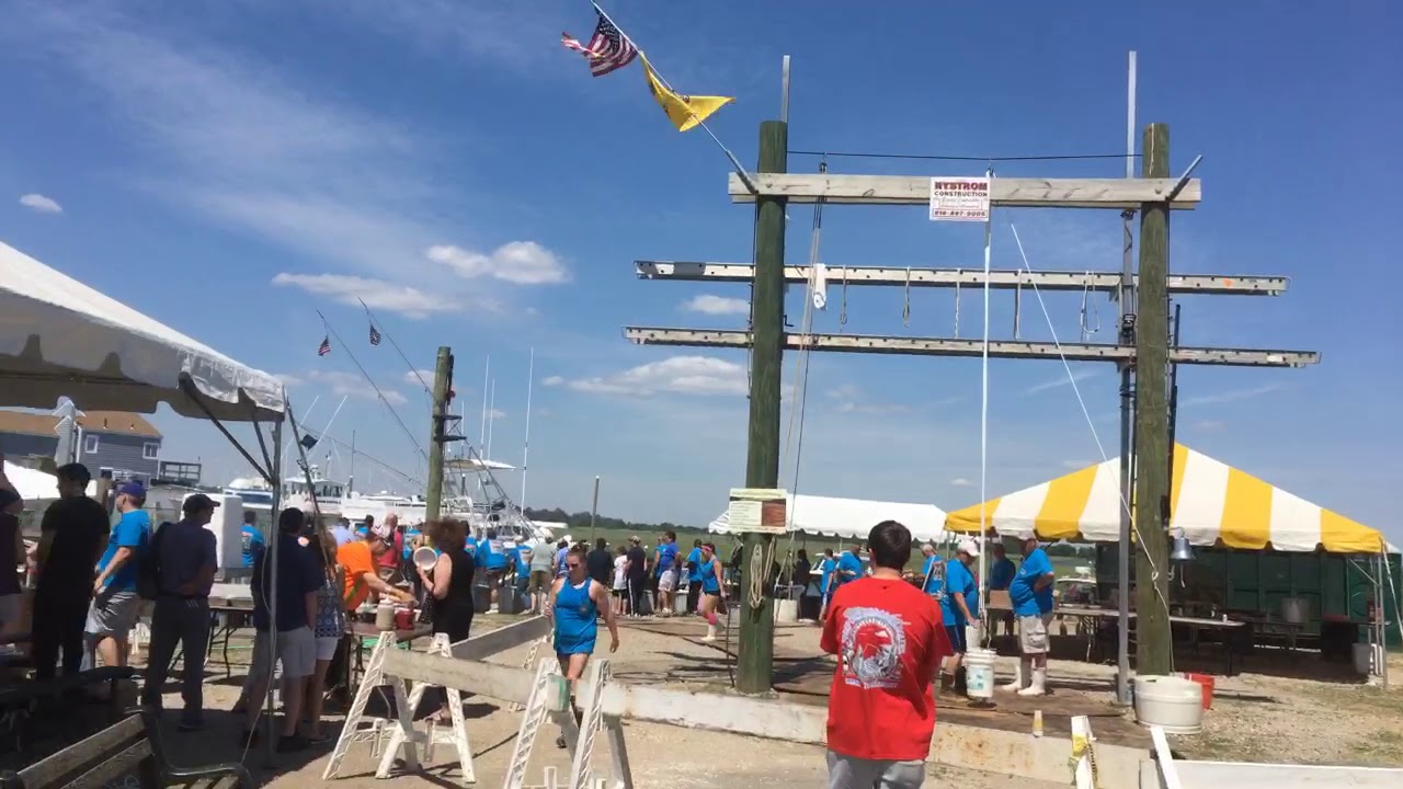 2018 shark tournament Freeport NY YouTube