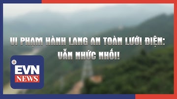 VI PHẠM HÀNH LANG AN TOÀN LƯỚI ĐIỆN: VẪN NHỨC NHỐI!