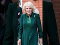 William S Bold Move Leaves Camilla Shaken As Her Family Faces Sudden Royal Demotion William S Bold Move Leaves Camilla Shaken As Her Family Faces Sudden Royal Demotion