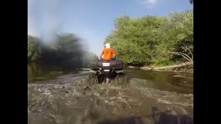 Stock Grizzly&#39;s GO MILES UP RIVER on a beautiful summer day part 1of4