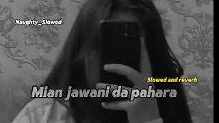 Main Jawani Da Pahara Naseebo Lal Full Mujra