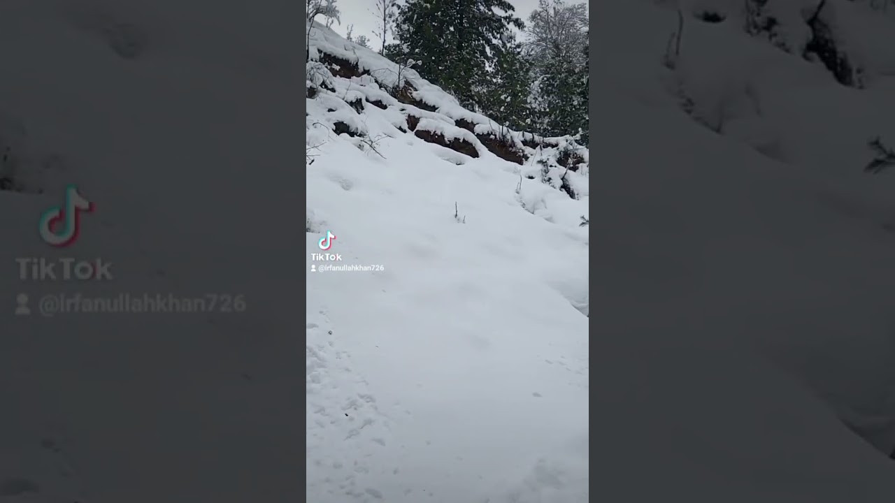 on Way to Shangla top from Alpurai