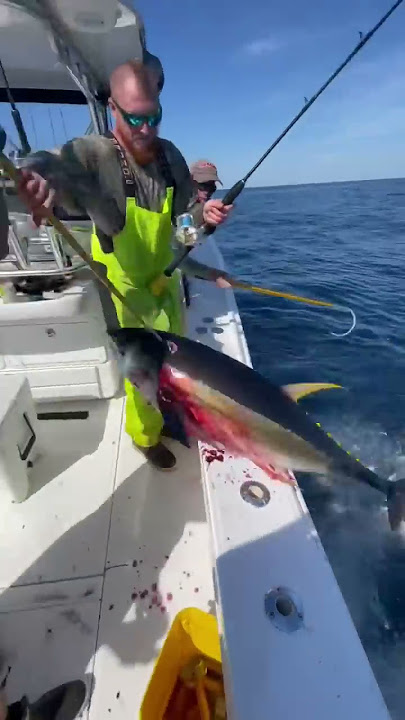 A CRAZY Yellowfin Tuna Gaff Shot You've NEVER Seen Before!