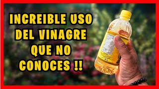 NO VAS A CREER este USO DEL VINAGRE fuera de la casa | Gio de la Rosa