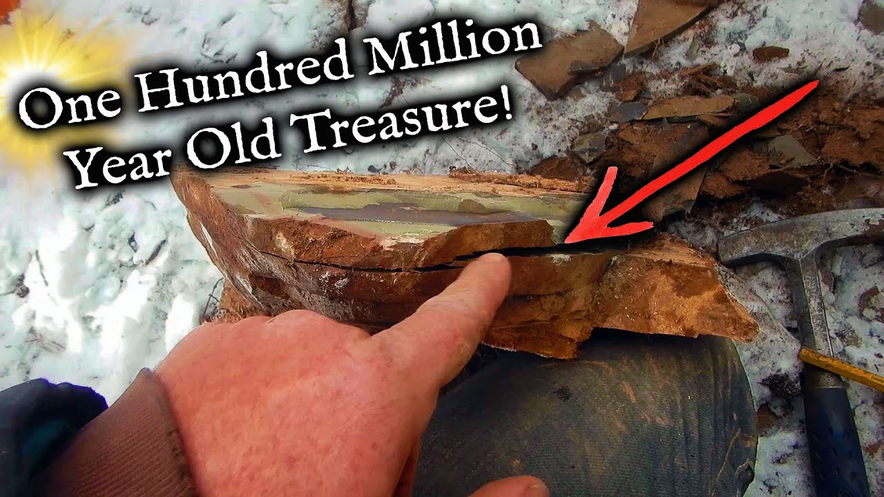 100,000,000+ year old treasure found buried in rock! YouTube