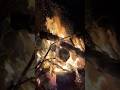 BTU - elk camp campfire