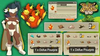 L'AVENTURE DOFUS RETRO MONOCOMPTE SAISONNIER - JOUR 25 : 3 DOFUS POURPRE