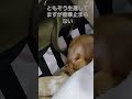 退院しましたが発作は止まらない