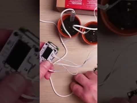 Setting up a