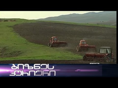 ინიციატივა მიწაზე - 12.10.2013